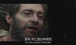 金刚狼3在线观看,殊死一战——漫威传奇英雄的终极告别之旅